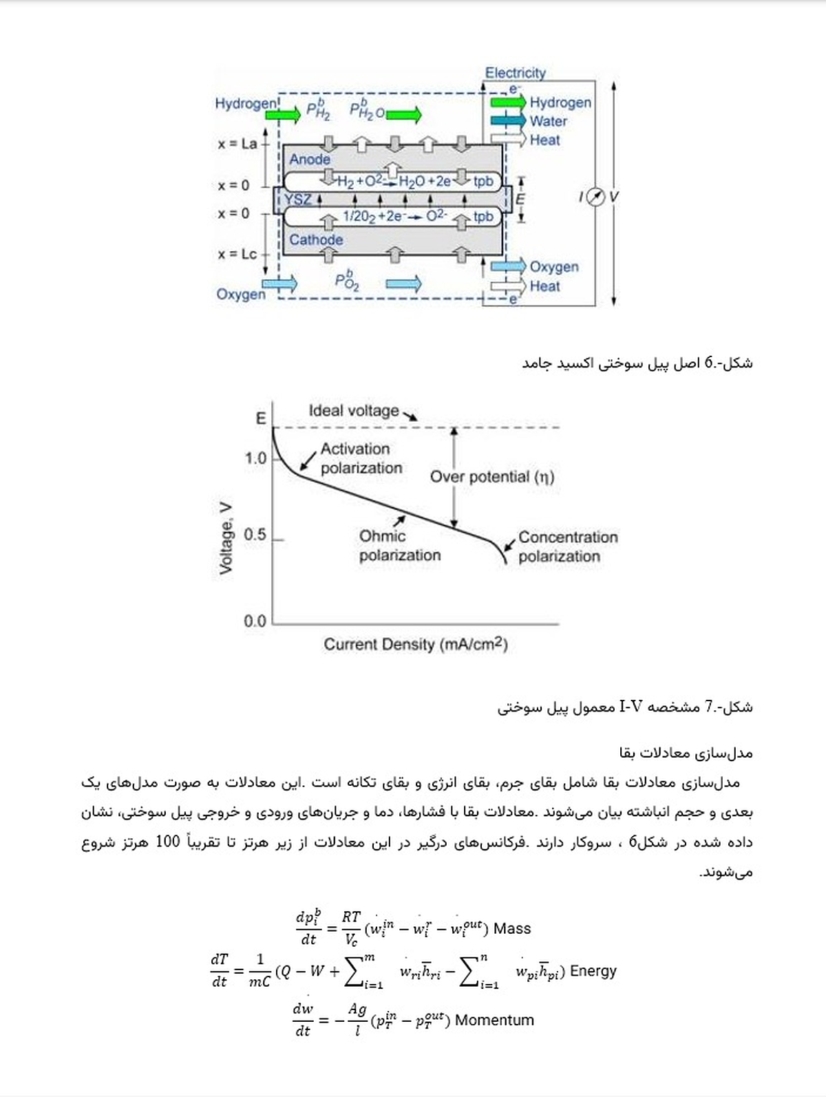 Translated document sample